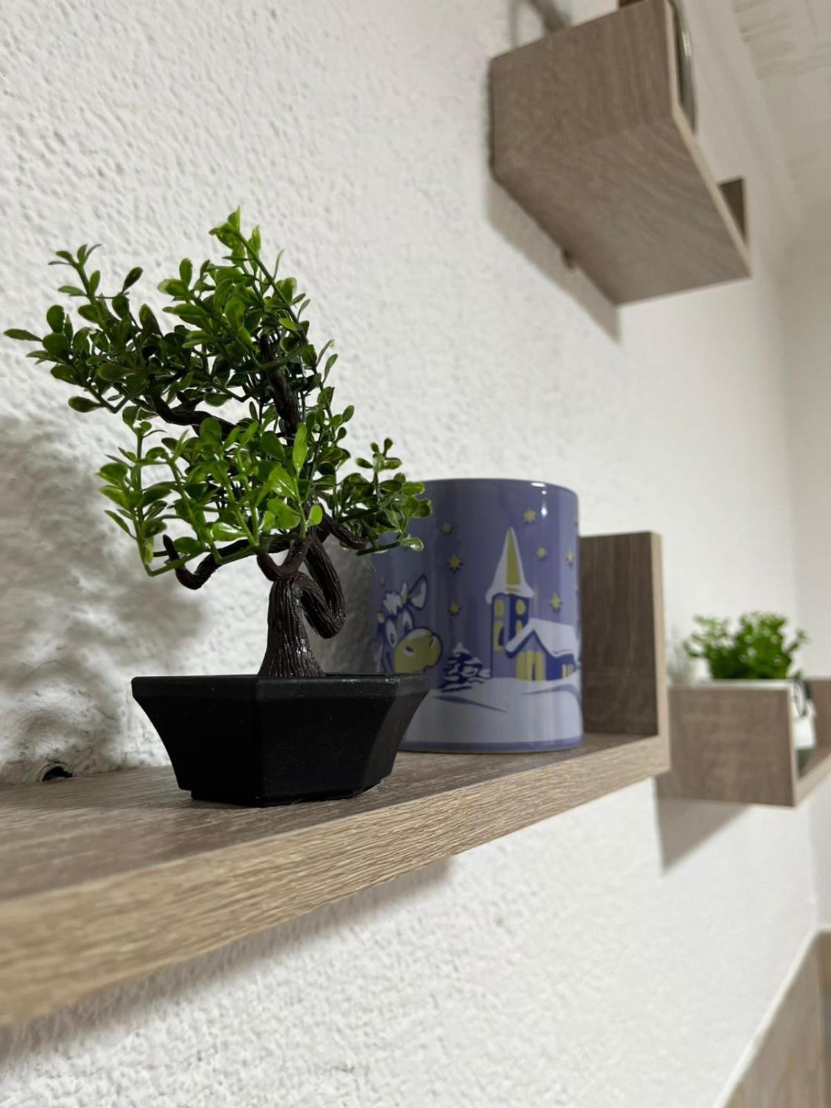 Apartment S&m